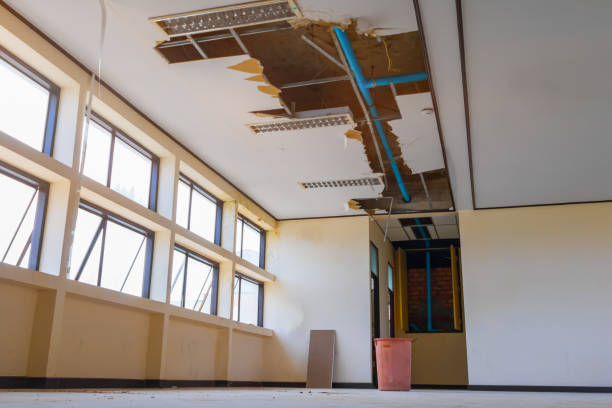 Best Professional water damage repair  in Viera West, FL
