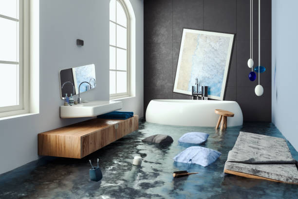 Best Professional water damage repair  in Viera West, FL