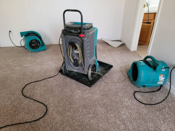 Best Mold removal after water damage  in Viera West, FL