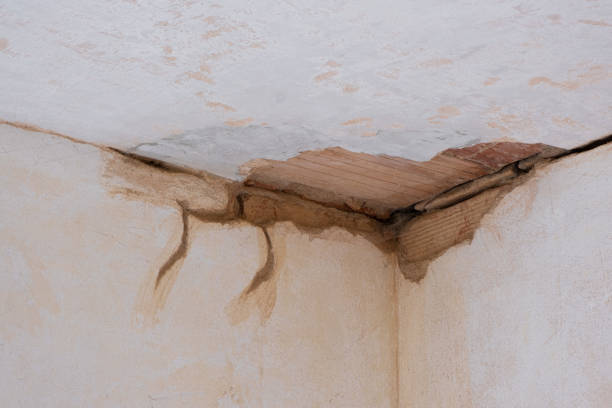 Best Flood restoration services  in Viera West, FL