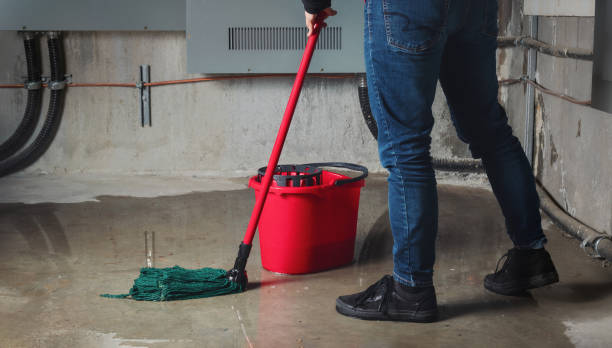 Best Water damage restoration near me  in Viera West, FL
