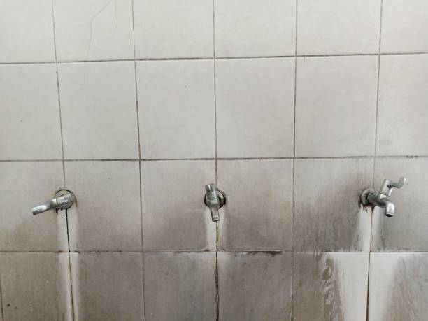 Best Water damage restoration specialists  in Viera West, FL