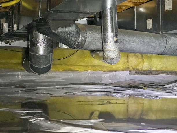 Best Water damage contractors near me  in Viera West, FL