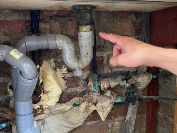 Best Flooded house restoration  in Viera West, FL
